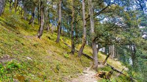 Aman Awasthi had left Delhi on March 1 to trek in Kullu district but he lost touch with his family after March 7.(Representative image/Shutterstock) Aman Awasthi had left Delhi on March 1 to trek in Kullu district but he lost touch with his family after March 7.(Representative image/Shutterstock)
