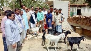 Jabbar Shah (in blue lungi), who on average used to earn about Rs 100 to Rs 150 per day, sold his goats though they were an integral part of his livelihood.(HT Photo) Jabbar Shah (in blue lungi), who on average used to earn about Rs 100 to Rs 150 per day, sold his goats though they were an integral part of his livelihood.(HT Photo)