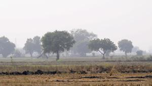 Entrepreneurs said that the Jewar airport will do for Noida what the Indira Gandhi International airport has done for Gurugram.(Sunil Ghosh/HT Photo) Entrepreneurs said that the Jewar airport will do for Noida what the Indira Gandhi International airport has done for Gurugram.(Sunil Ghosh/HT Photo)