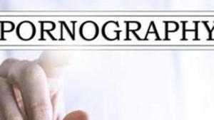 Madhya Pradesh home minister Bhupendra Singh said the government has blocked 25 pornographic sites.(Shutterstock) Madhya Pradesh home minister Bhupendra Singh said the government has blocked 25 pornographic sites.(Shutterstock)