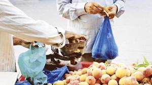 Following the state-wide ban, PMC has seized over 30 tonnes of banned plastic goods and carry bags account for more than 60 per cent the seized plastic.(HT REPRESENTATIVE IMAGE) Following the state-wide ban, PMC has seized over 30 tonnes of banned plastic goods and carry bags account for more than 60 per cent the seized plastic.(HT REPRESENTATIVE IMAGE)