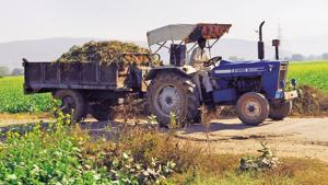 Degradation, desertification and drought erode the quality of land and adversely impact productivity, biodiversity and water availability.(File Photo) Degradation, desertification and drought erode the quality of land and adversely impact productivity, biodiversity and water availability.(File Photo)