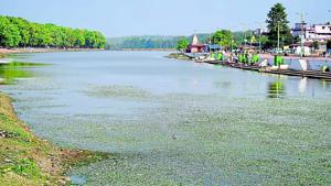 Experts are of the opinion that environmental degradation of the Narmada had, in fact, begun over two decades ago.(HT Photo) Experts are of the opinion that environmental degradation of the Narmada had, in fact, begun over two decades ago.(HT Photo)