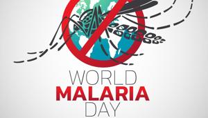 Malaria elimination in India will be carried out in a phased manner.(Shutterstock) Malaria elimination in India will be carried out in a phased manner.(Shutterstock)