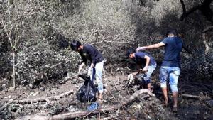 College students remove garbage from mangroves in Bandra, Mumbai.(HT) College students remove garbage from mangroves in Bandra, Mumbai.(HT)