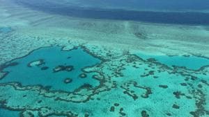 This file photo taken on November 20, 2014 shows an aerial view of the Great Barrier Reef off the coast of the Whitsunday Islands, along the central coast of Queensland.(AFP)