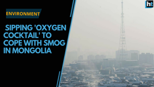 <p>Ulan Bator is among the world's most polluted cities. The Mongolian capital topped New Delhi and Beijing as the world's most polluted capital in 2016, said Unicef in a report. On January 30 this year, air pollution was 133 times higher than the safe limit set by the World Health Organization (WHO). Worried and desperate residents have resorted to drinking 'lung' tea and so-called 'oxygen cocktails' that manufacturers claim are anti-smog products even though the WHO says there's no evidence the products actually work.</p>