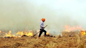 The Punjab government’s inaction is particularly glaring, as the NGT order mentions.(HT File) The Punjab government’s inaction is particularly glaring, as the NGT order mentions.(HT File)