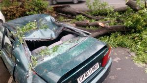 An uprooted tree damaged a parked car in Sector 22, Chandigarh, during storm on Wednesday.(Karun Sharma/HT) An uprooted tree damaged a parked car in Sector 22, Chandigarh, during storm on Wednesday.(Karun Sharma/HT)