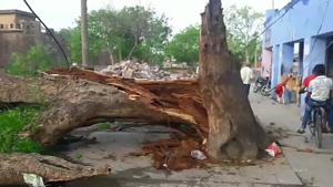 Around 205 injured after a high-speed dust storm lashed parts of eastern Rajasthan on Wednesday.(HT Photo) Around 205 injured after a high-speed dust storm lashed parts of eastern Rajasthan on Wednesday.(HT Photo)