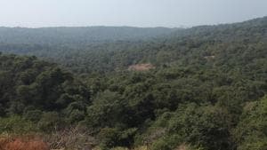 Sanjay Gandhi National Park(HT PHOTO) Sanjay Gandhi National Park(HT PHOTO)
