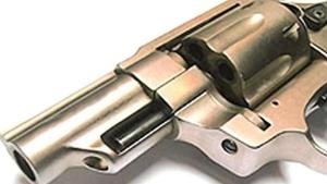 The accused were attempting to sell the weapons along with live rounds(HT Photo) The accused were attempting to sell the weapons along with live rounds(HT Photo)