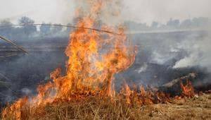 Wheat stubble on fire in a field in Rohtak on Thursday. As per the Haryana Pollution Control Board, 123 instances of fire have been spotted in Meham, Sampla, Lakhan Majra, Rohtak and Kalanaur blocks of the district between April 16 and 30.(Manoj Dhaka/HT)