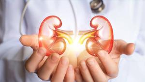 According to doctors, this was the fifth kidney transplant performed at the Sassoon General Hospital, and the second successful live kidney transplant.(HT REPRESENTATIONAL PHOTO) According to doctors, this was the fifth kidney transplant performed at the Sassoon General Hospital, and the second successful live kidney transplant.(HT REPRESENTATIONAL PHOTO)
