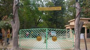 Corbett Tiger Reserve is home to 240 tigers, according to national estimation of 2015.(HT File Photo) Corbett Tiger Reserve is home to 240 tigers, according to national estimation of 2015.(HT File Photo)