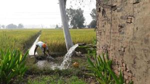 As per the state government records, 70 per cent of the Rajasthan population is dependent on agriculture.(HT FILE PHOTO) As per the state government records, 70 per cent of the Rajasthan population is dependent on agriculture.(HT FILE PHOTO)