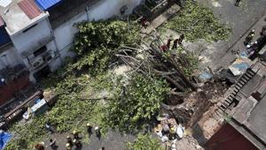 Fire department personnel work to clear the street, blocked by a tree which got uprooted in the recent massive storm, behind the Police Headquarters at Lalbazar in Kolkata.(PTI File Photo) Fire department personnel work to clear the street, blocked by a tree which got uprooted in the recent massive storm, behind the Police Headquarters at Lalbazar in Kolkata.(PTI File Photo)