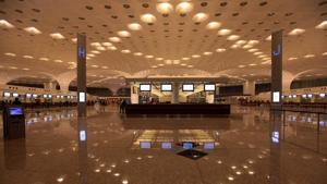 The two suspects were arrested on the basis of profiling after they cleared the customs channel and were proceeding towards the exit.(HT FILE) The two suspects were arrested on the basis of profiling after they cleared the customs channel and were proceeding towards the exit.(HT FILE)
