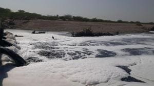 A polluted Bandi River in Pali.(HT Photo) A polluted Bandi River in Pali.(HT Photo)