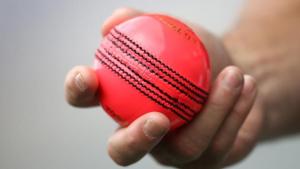 Cricket Australia’s proposal to host the Indian cricket team in the day-night match in Adelaide from December 6-10 was dismissed by the BCCI.(Getty Images) Cricket Australia’s proposal to host the Indian cricket team in the day-night match in Adelaide from December 6-10 was dismissed by the BCCI.(Getty Images)