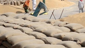 The case was registered on the complaint of Punjab State Warehousing Corporation district manager(HT File/representative Image) The case was registered on the complaint of Punjab State Warehousing Corporation district manager(HT File/representative Image)