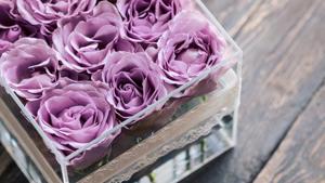 Luxurious preserved roses have come to be recognised as exquisite ornaments.(Getty Images/iStockphoto) Luxurious preserved roses have come to be recognised as exquisite ornaments.(Getty Images/iStockphoto)