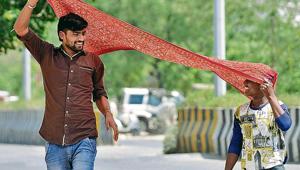 A healthy diet and active ingredients in therapeutic doses can help the skin adapt to the sun.(Sunil Ghosh/Hindustan Times) A healthy diet and active ingredients in therapeutic doses can help the skin adapt to the sun.(Sunil Ghosh/Hindustan Times)