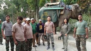 RTR team members deployed for spotting the ‘man-eater leopard ‘.(HT Photo) RTR team members deployed for spotting the ‘man-eater leopard ‘.(HT Photo)