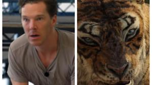 Benedict Cumberbatch plays Shere Khan in Mowgli. Benedict Cumberbatch plays Shere Khan in Mowgli.