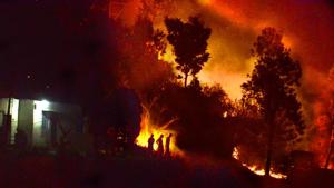 Hundreds of hectares of forests in the hill state witnessed forest fires in the current season.(HT File Photo) Hundreds of hectares of forests in the hill state witnessed forest fires in the current season.(HT File Photo)