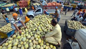 Muskmelons on sale at Roopewal near Malsian in Shahkot on Tuesday.(Pardeep Pandit/HT) Muskmelons on sale at Roopewal near Malsian in Shahkot on Tuesday.(Pardeep Pandit/HT)