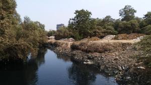 200 truckloads of debris dumped in Mahim creek area, say activists.(HT Photo) 200 truckloads of debris dumped in Mahim creek area, say activists.(HT Photo)