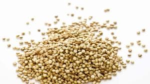 Farmers had trouble selling the crop even after its cultivation, so now Rajasthan State Seeds Corporation would buy back Quinoa raw seeds from those farmers who had taken the mini kits.(Getty Images) Farmers had trouble selling the crop even after its cultivation, so now Rajasthan State Seeds Corporation would buy back Quinoa raw seeds from those farmers who had taken the mini kits.(Getty Images)