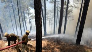 Fire fighters try to extinguish the forest fire near Tutikandi, Shimla.(HT File Photo) Fire fighters try to extinguish the forest fire near Tutikandi, Shimla.(HT File Photo)