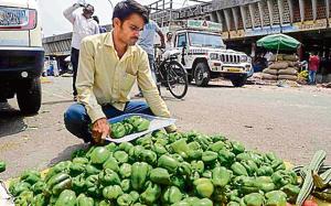 According to the officials of agricultural produce market committee (APMC), Pune, the wholesale prices of vegetables, like capsicum, drumstick, beans, are expected to increase in the next few days owing to low supply of these vegetables to the Pune market yard.(RAVINDRA JOSHI/HT PUNE) According to the officials of agricultural produce market committee (APMC), Pune, the wholesale prices of vegetables, like capsicum, drumstick, beans, are expected to increase in the next few days owing to low supply of these vegetables to the Pune market yard.(RAVINDRA JOSHI/HT PUNE)