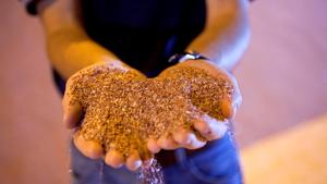 India is dependent on imports for phosphatic fertilisers.(Reuters File Photo) India is dependent on imports for phosphatic fertilisers.(Reuters File Photo)