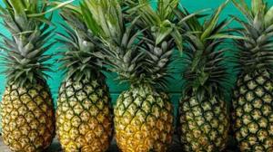<p>A healthy diet should include servings of various fruits. Pineapple is one such fruit that is a powerhouse of nutrition and tastes great as well. It is loaded with thiamine (Vitamin B1), Vitamin C, and rich in iron. It also contains an enzyme called bromelain which aids digestion and its juice is considered to be a diuretic. It is also an antioxidant and has anti-inflammatory properties. Being rich in manganese, it also boosts bone health. </p>