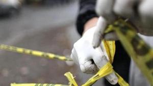 Identified as Madanlal, the driver of the pick-up van was later arrested by Kamshhet police.(Reuters/ REPRESENTATIVE PHOTO) Identified as Madanlal, the driver of the pick-up van was later arrested by Kamshhet police.(Reuters/ REPRESENTATIVE PHOTO)