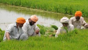Karamjeet Singh, from Sukhan Wala village in Faridkot, said, “I sow paddy in 24 acre and need 1,600 litre during the paddy season. From Rs 90,000 I spent on diesel last year, my cost this year will be at least Rs 1.15 lakh.(HT File/Representative image) Karamjeet Singh, from Sukhan Wala village in Faridkot, said, “I sow paddy in 24 acre and need 1,600 litre during the paddy season. From Rs 90,000 I spent on diesel last year, my cost this year will be at least Rs 1.15 lakh.(HT File/Representative image)