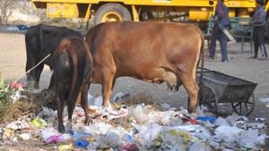 Dehradun produces 327.9 tonnes of plastic waste per day, according to the survey.(Vinay Santosh Kumar/HT Photo) Dehradun produces 327.9 tonnes of plastic waste per day, according to the survey.(Vinay Santosh Kumar/HT Photo)