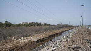 HT found that large tracts of mangroves had dried up near Hovercraft jetty, fourth container terminal at JNPT, where Bharat Mumbai Container Terminal Private Limited (BMCTPL) is located, and even areas where hacked mangrove trees were stored by unknown persons, a clear violation of Bombay high court orders and Environment Protection Act, 1986, near Gavhan village.(PRATIK CHORGE/HT) HT found that large tracts of mangroves had dried up near Hovercraft jetty, fourth container terminal at JNPT, where Bharat Mumbai Container Terminal Private Limited (BMCTPL) is located, and even areas where hacked mangrove trees were stored by unknown persons, a clear violation of Bombay high court orders and Environment Protection Act, 1986, near Gavhan village.(PRATIK CHORGE/HT)