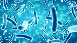 Are antibiotics good for us?(Shutterstock) Are antibiotics good for us?(Shutterstock)