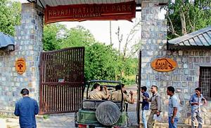 Rajaji Tiger Reserve.(HT Photo) Rajaji Tiger Reserve.(HT Photo)