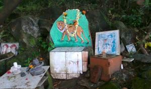 A Waghoba shrine in Mumbai forest, painted on a boulder, that is dedicated to tiger.(Vidya Athreya) A Waghoba shrine in Mumbai forest, painted on a boulder, that is dedicated to tiger.(Vidya Athreya)