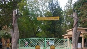 Located in Nainital district, Corbett National Park is one of the oldest national parks in India.(HT Photo) Located in Nainital district, Corbett National Park is one of the oldest national parks in India.(HT Photo)