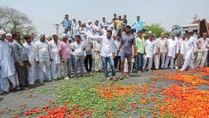 Vegetables lie scattered on a road as farmers protest, Hisar, Haryana, June 03, 2018(PTI) Vegetables lie scattered on a road as farmers protest, Hisar, Haryana, June 03, 2018(PTI)