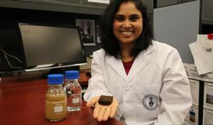 Pavani Cherukupally, a researcher at the University of Toronto, holds up a piece of sponge that is at the core of a system she has developed to remove pollutants from water.(Kevin Soobrian) Pavani Cherukupally, a researcher at the University of Toronto, holds up a piece of sponge that is at the core of a system she has developed to remove pollutants from water.(Kevin Soobrian)