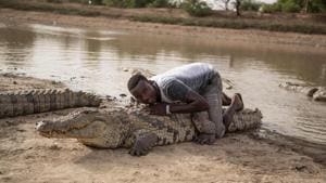 A boy leans on the back of a crocodile on May 19, 2018 at a pond in Bazoule in Burkina Faso, a village which happily shares its local pond with 'sacred' crocodiles.(AFP Photo) A boy leans on the back of a crocodile on May 19, 2018 at a pond in Bazoule in Burkina Faso, a village which happily shares its local pond with 'sacred' crocodiles.(AFP Photo)