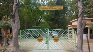 Corbett Tiger Reserve in Uttarakhand.(HT File) Corbett Tiger Reserve in Uttarakhand.(HT File)