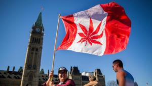 In this file photo taken on April 20, 2016, a woman waves a flag with a marijuana leaf on it to celebrate National Marijuana Day on Parliament Hill in Ottawa, Canada.(AFP) In this file photo taken on April 20, 2016, a woman waves a flag with a marijuana leaf on it to celebrate National Marijuana Day on Parliament Hill in Ottawa, Canada.(AFP)
